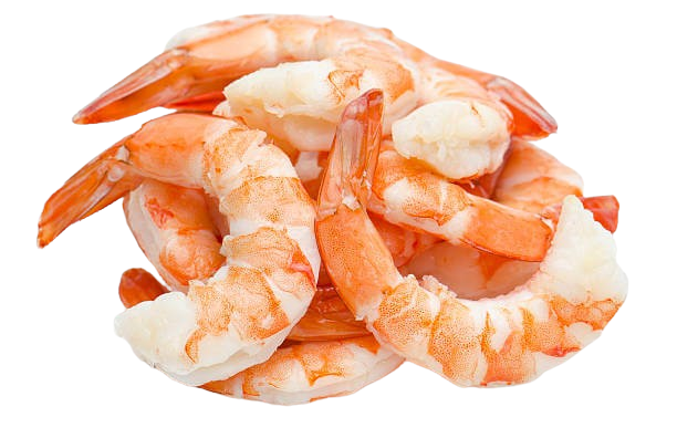Shrimps